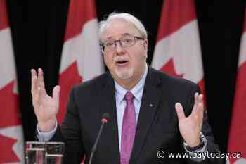 Watchdog says tax code is 'completely nuts' and calls for simplification, automation