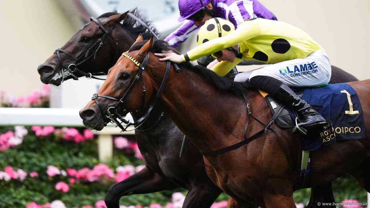 Royal Ascot 2026: Bow Echo just prevails in thrilling St James's Palace Stakes