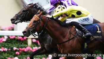 Royal Ascot 2026: Bow Echo just prevails in thrilling St James's Palace Stakes