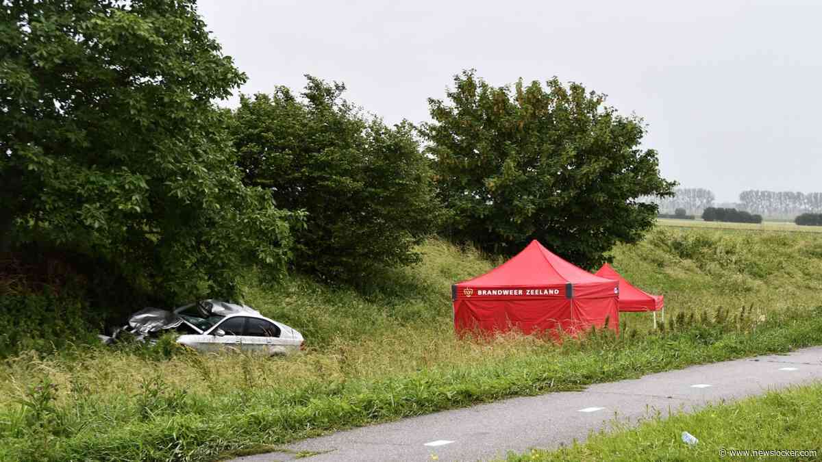 OM verwijt bestuurder (19) dodelijk ongeluk Vogelwaarde roekeloosheid