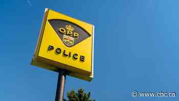 Man arrested after Winnipeg business threatened also charged in killing in Ontario