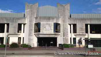 Man ordered to do hundreds of hours of unpaid work for his crime completed just two