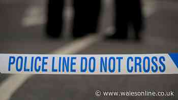 Man branded 'vicious animal' launched devastating attacks on strangers in Rhyl