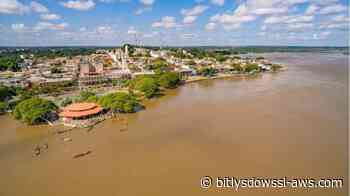 Ganaderos de Monagas y Delta Amacuro adelantan traslado de rebaños ante crecida del río Orinoco