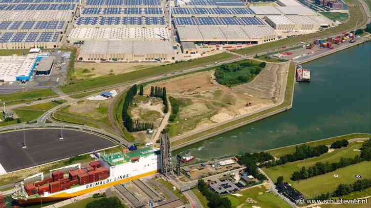 Katoen Natie opent containerhub in Antwerpse haven in strijd tegen congestie