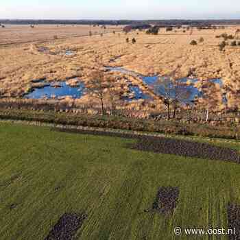Staatsbosbeheer wacht tot 2028 met grote ingrepen in Engbertsdijksvenen