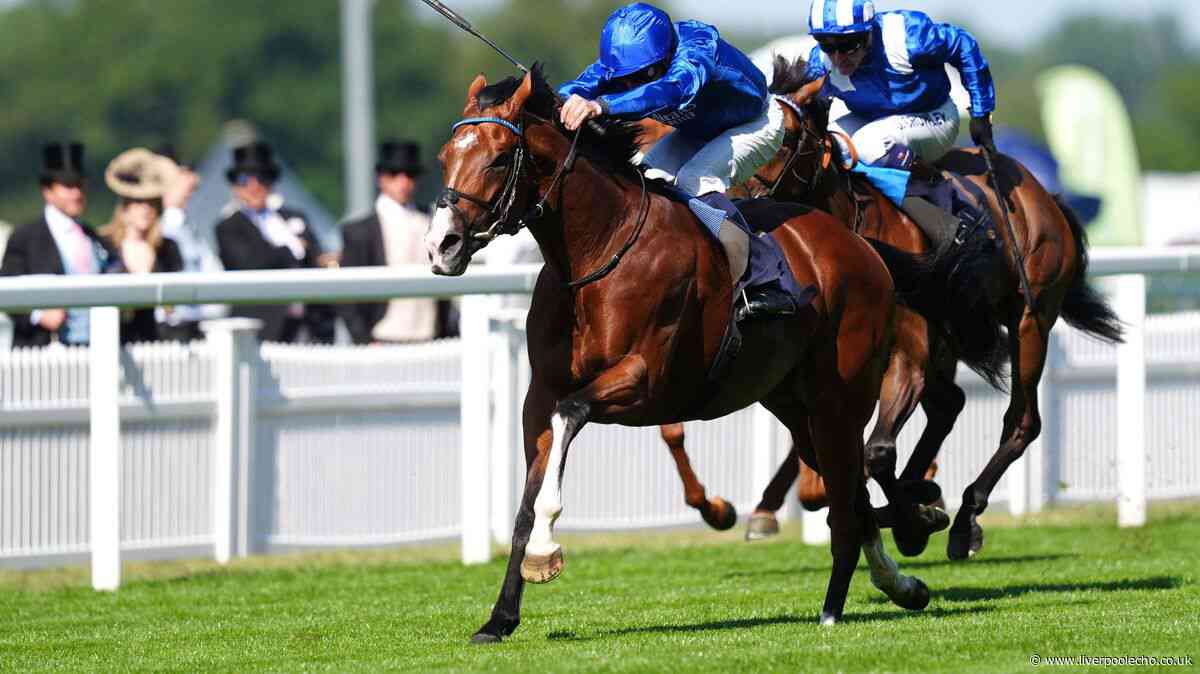 Royal Ascot 2026 Day Two: Ombudsman to win the Prince of Wales's Stakes again