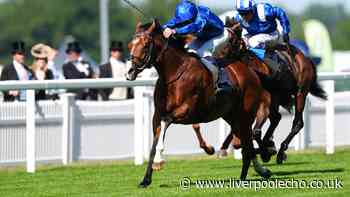 Royal Ascot 2026 Day Two: Ombudsman to win the Prince of Wales's Stakes again