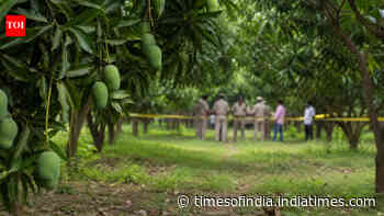 3 children injured in crude bomb blast in West Bengal's Malda mango orchard