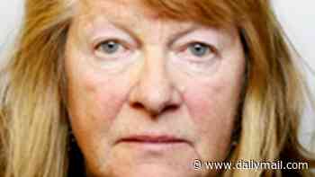 Driver, 69, who killed woman walking to Take That concert is jailed for one year for causing death by dangerous driving