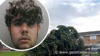 Man who cut down North East village Christmas tree avoids jail