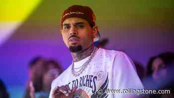 Chris Brown Dog Mauling Trial Delayed Over Mistrial