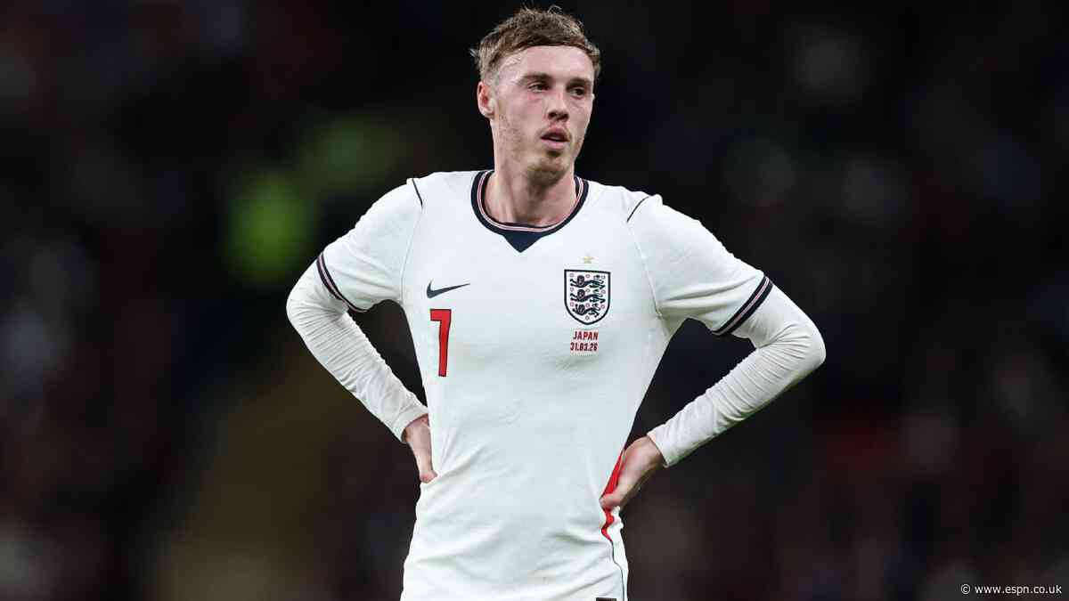 Sturridge: Palmer exclusion was 'biggest surprise'...