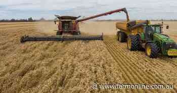 Why even the Middle East conflict has failed to stop a slide in wheat prices