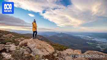 Visitors to Kunanyi/Mt Wellington should pay, report finds