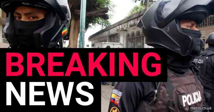 Missing Brit girl found in jungle with American man amid trafficking fears