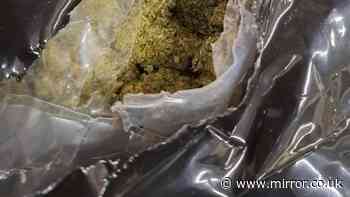 Border Force seizes 12 tonnes of cannabis worth £139m in biggest ever bust