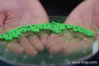Pennsylvania issues quarantine order amid heightened risks of New World screwworm