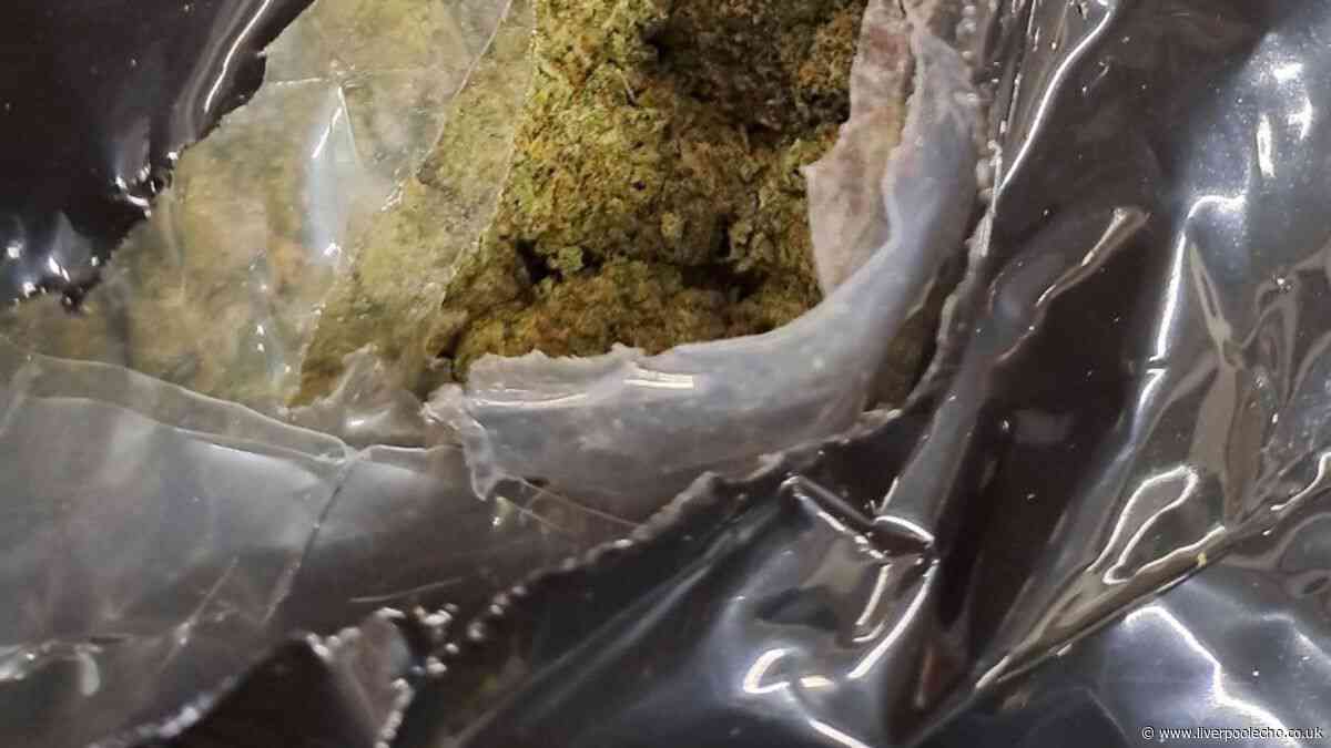 ‘Record‑breaking haul’ as 12 tonnes of cannabis found in UK port raid from Canada