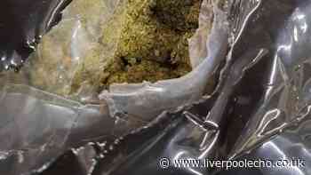 ‘Record‑breaking haul’ as 12 tonnes of cannabis found in UK port raid from Canada