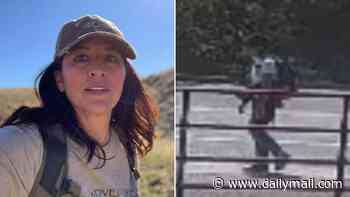 Missing scientist's skull reveals new clue about her death as ex-FBI agent raises shocking theory