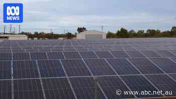 After the first attempt failed, outback town gives renewables another go