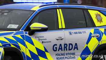 Young cyclist dies during horror collision with parked lorry