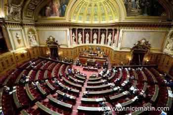 1er-Mai : le Sénat adopte le projet de loi autorisant le travail des salariés, des boulangers et des fleuristes