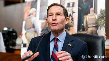 Blumenthal: Trump saying Syria could deal with Hezbollah 'absolutely absurd'