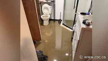 North Kildonan residents frustrated after 2nd round of basement flooding in a week