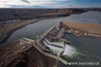 B.C. must learn from Site C dam before starting new projects, says environmentalist