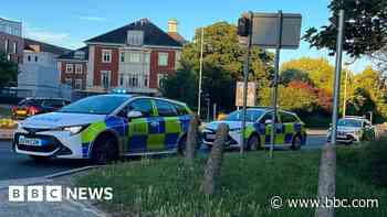 Two teens in crown court charged with park murder