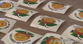 Voters making pivotal decisions in Georgia's primary runoff elections