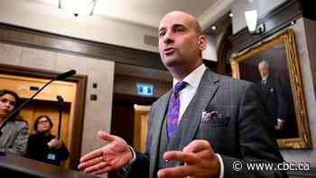 Conservatives blast Liberals for trying to 'ram' controversial lawful access bill through House
