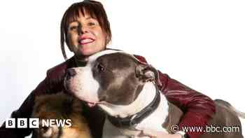 Dog rescue turning away animals pleads for help