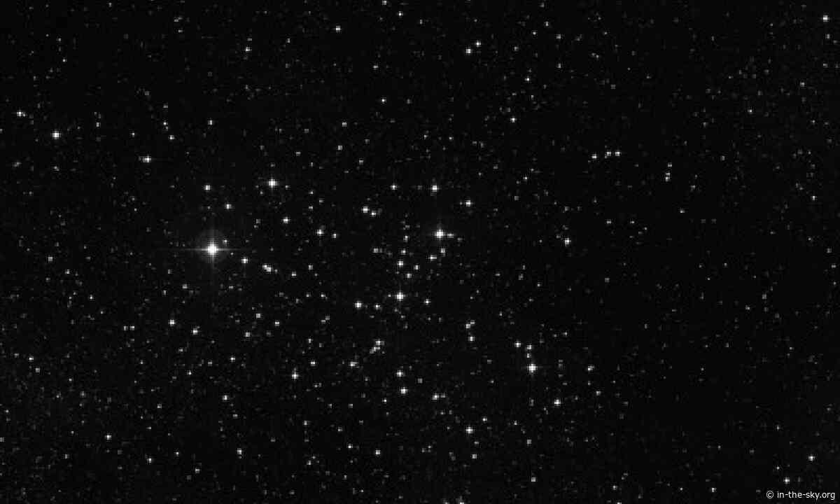 17 Jun 2026 (Tomorrow): The Butterfly cluster is well placed