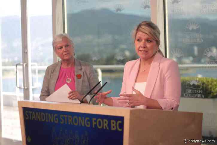 New well-being plan for children aims for better coordination in B.C. government