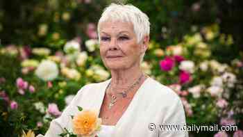 West End theatre to be renamed in honour of Dame Judi Dench
