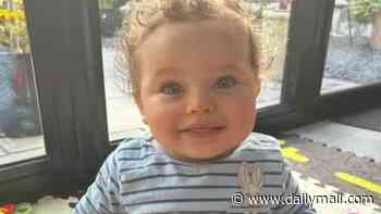 Ex-Home Secretary calls for police inquiry into possible negligence by public officials over murder of baby Preston Davey