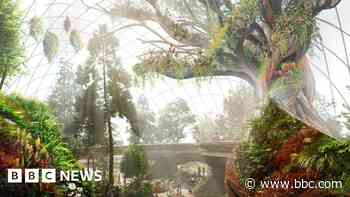 Eden Project Morecambe to install £4.5m centrepiece tree
