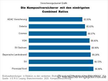 Die rentabelsten Kompositversicherer