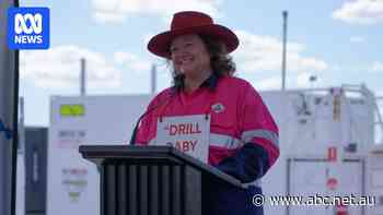 Gina Rinehart's iron ore company flags job losses, reportedly in the hundreds