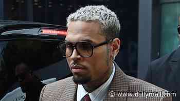 Chris Brown $90m lawsuit from housekeeper claiming she was mauled by his dog declared mistrial