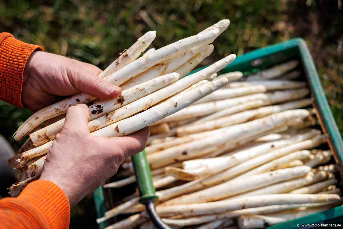 Spargelernte endet, Erdbeersaison läuft noch