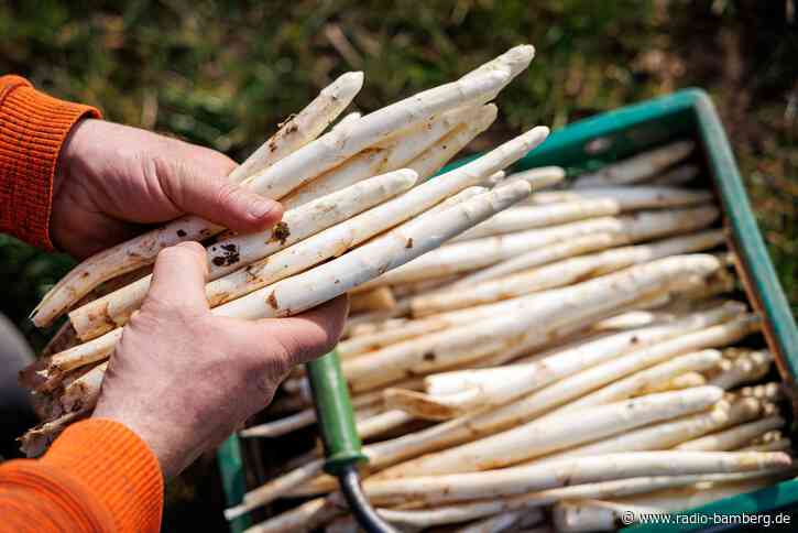 Spargelernte endet, Erdbeersaison läuft noch
