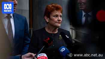 Live: Pauline Hanson to address National Press Club for first time