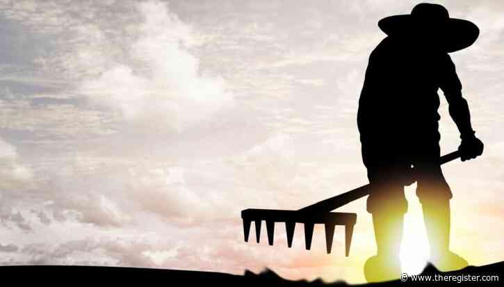 Cyberattack sees crops kept in the ground