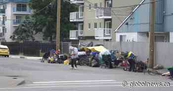 North Cowichan mayor asks for province’s help to address homelessness, mental health