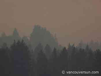 West Kelowna wildfire: Evacuation downgraded to alert for homes near Kalamoir Regional Park