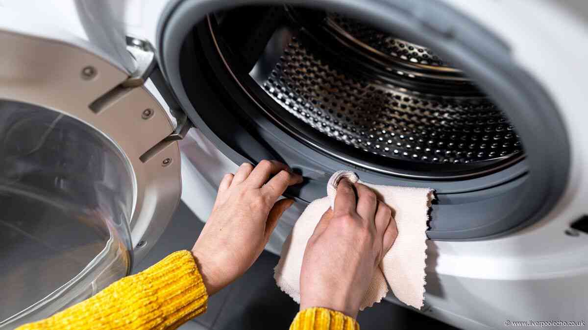 Washing machines will be cleaner after 1 wash cycle when you pour in 1 simple item